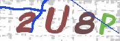 Obrazek CAPTCHA