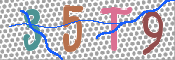 Obrazek CAPTCHA
